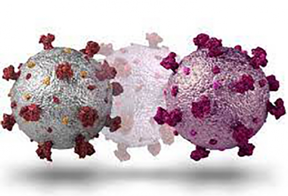 ВОЗ: подвариант коронавируса EG.5 может распространиться по всему миру