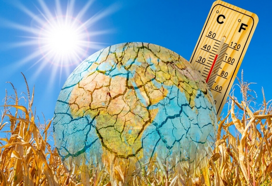 ВМО: жара не спадает, в странах Европы объявлен «красный» уровень угрозы