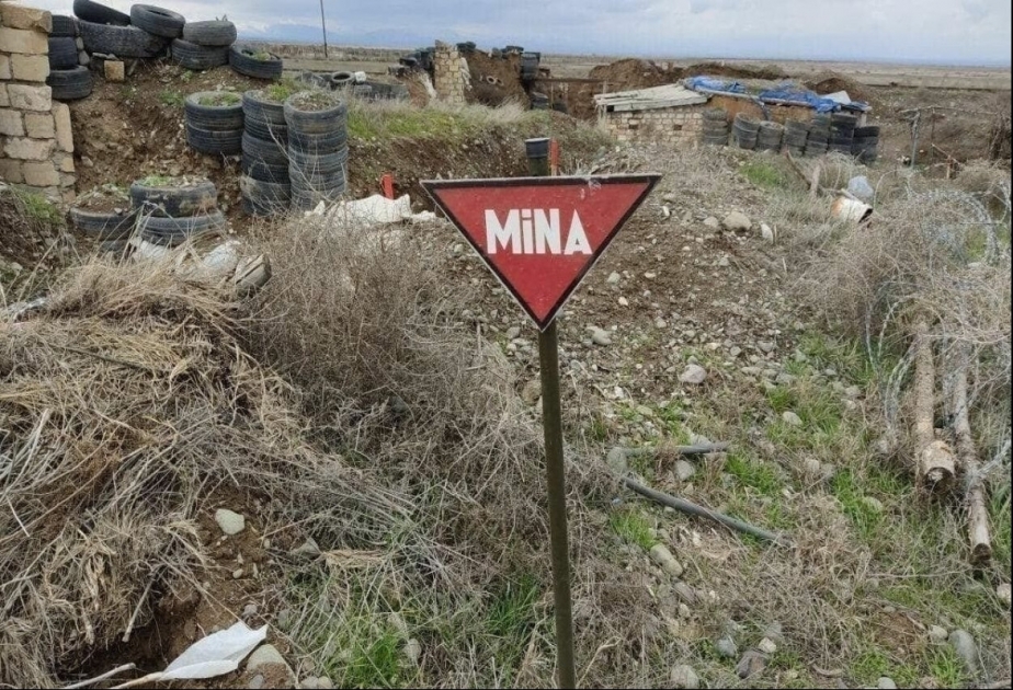 Жертвы мин и представители гражданского общества Азербайджана направили совместное обращение в ООН