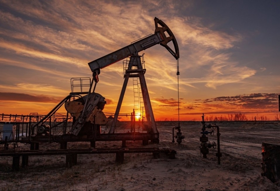 Азербайджан лидирует по объемам поставок нефти в Италию и Хорватию
