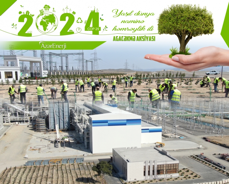 «АзерЭнержи» параллельно проводит мероприятия по энергоэффективности и озеленению