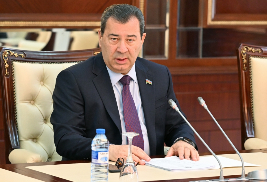 Самед Сеидов: Отношения между тюркскими государствами усиливаются
