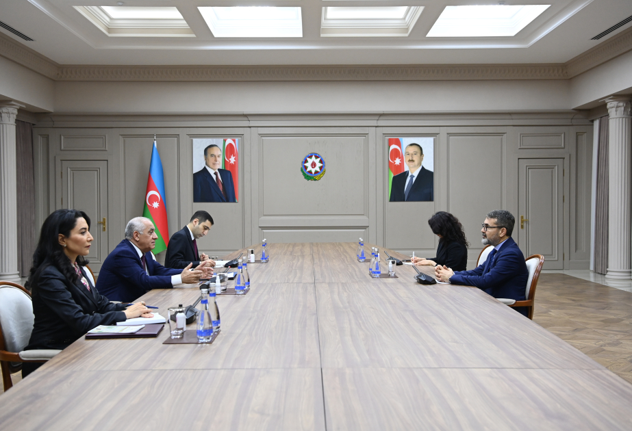 Премьер-министр Али Асадов встретился с председателем Института по правам человека и равенству Турции