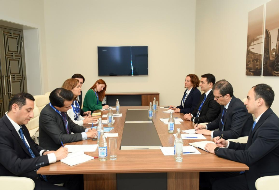 Обсуждено сотрудничество между Азербайджаном и ЮНЕСКО