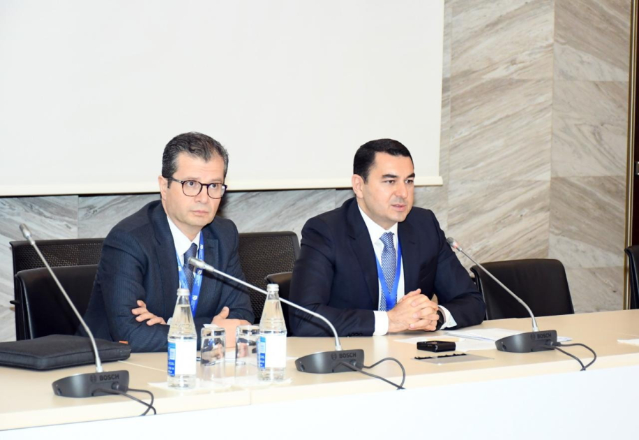 Министр культуры Азербайджана встретился с постоянными представителями ряда стран при ЮНЕСКО
