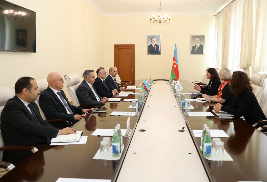Глава миссии: Глобальный фонд совместно с Министерством здравоохранения Азербайджана реализует ряд важных проектов в Азербайджане