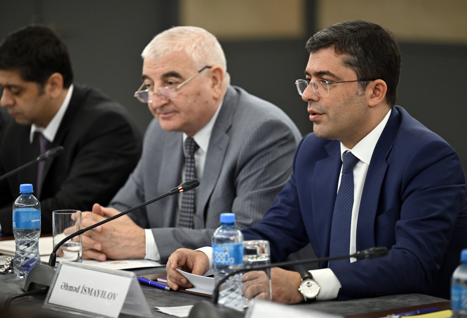 Исполнительный директор MEDİA: В период выборов возрастают управляемые извне вызовы для информационной среды Азербайджана