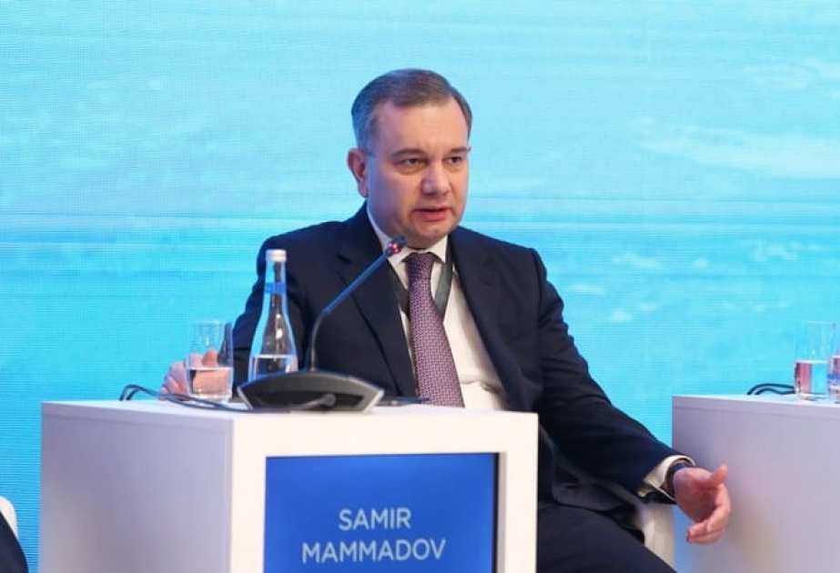 Замминистра: В систему «Цифровой мост» интегрировано более 70 госучреждений Азербайджана