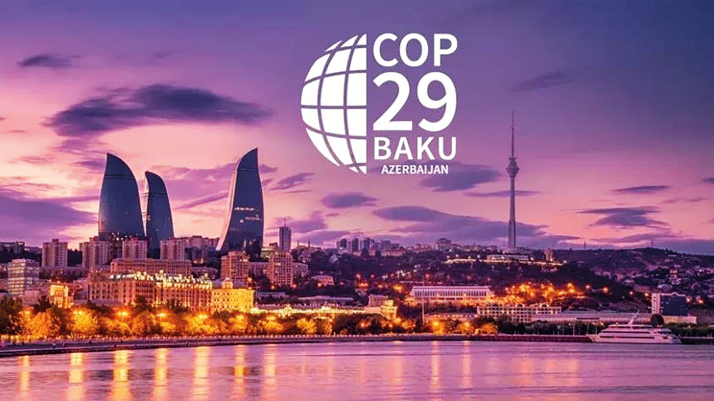 COP29: содействие адаптации       
