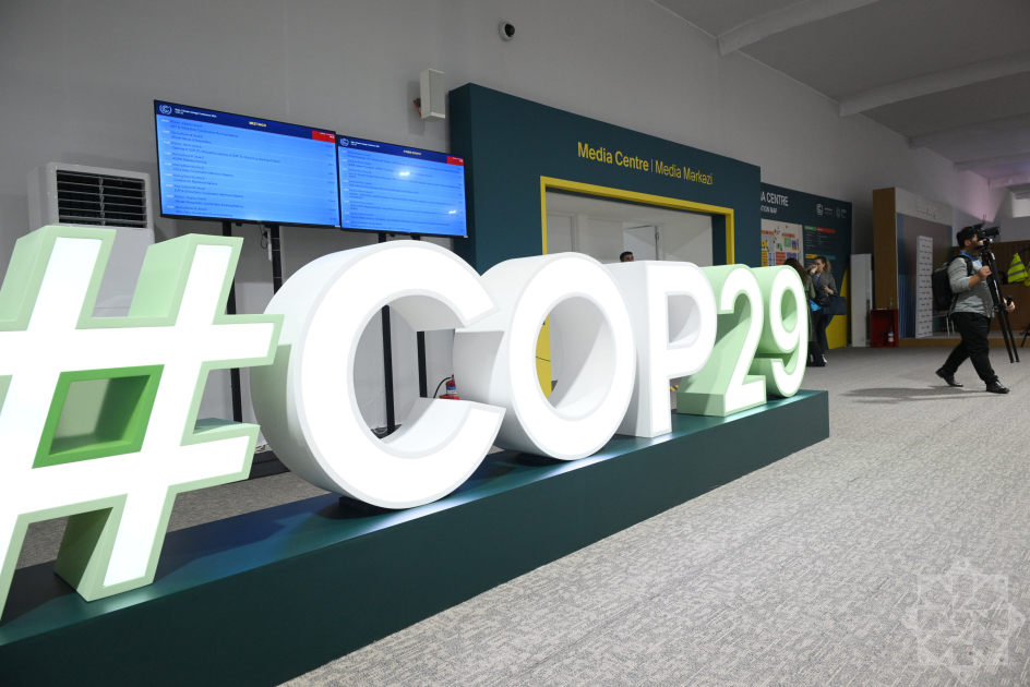 Фоторепортаж с СОР29