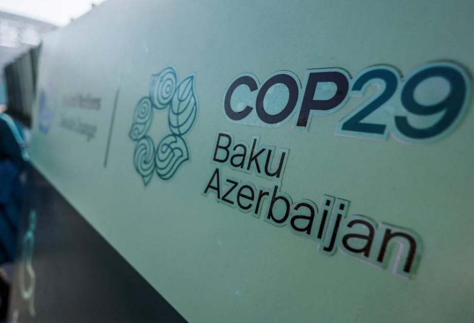 Итоги COP29 – в центре внимания мировых СМИ