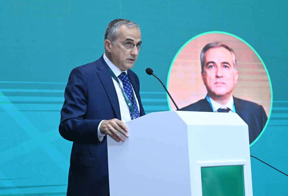 Фарид Шафиев: Исламофобия представляет серьезную угрозу глобальной стабильности и единству