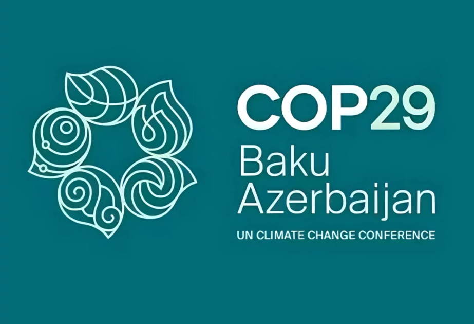 Подготовительные работы к COP30 продолжаются