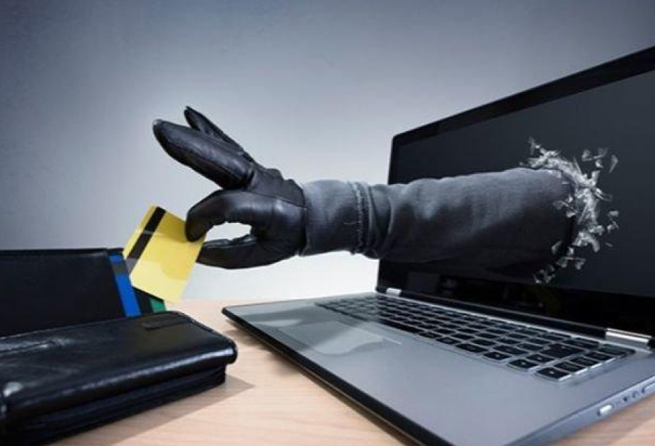 МВД предупредило граждан о случаях киберпреступности