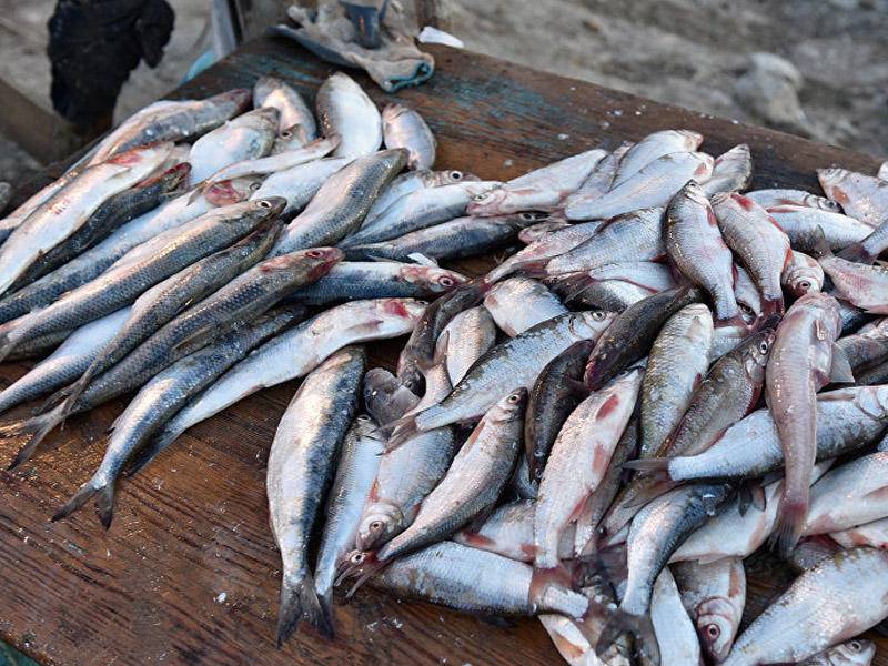 Ценный ресурс    ​​​​​​​