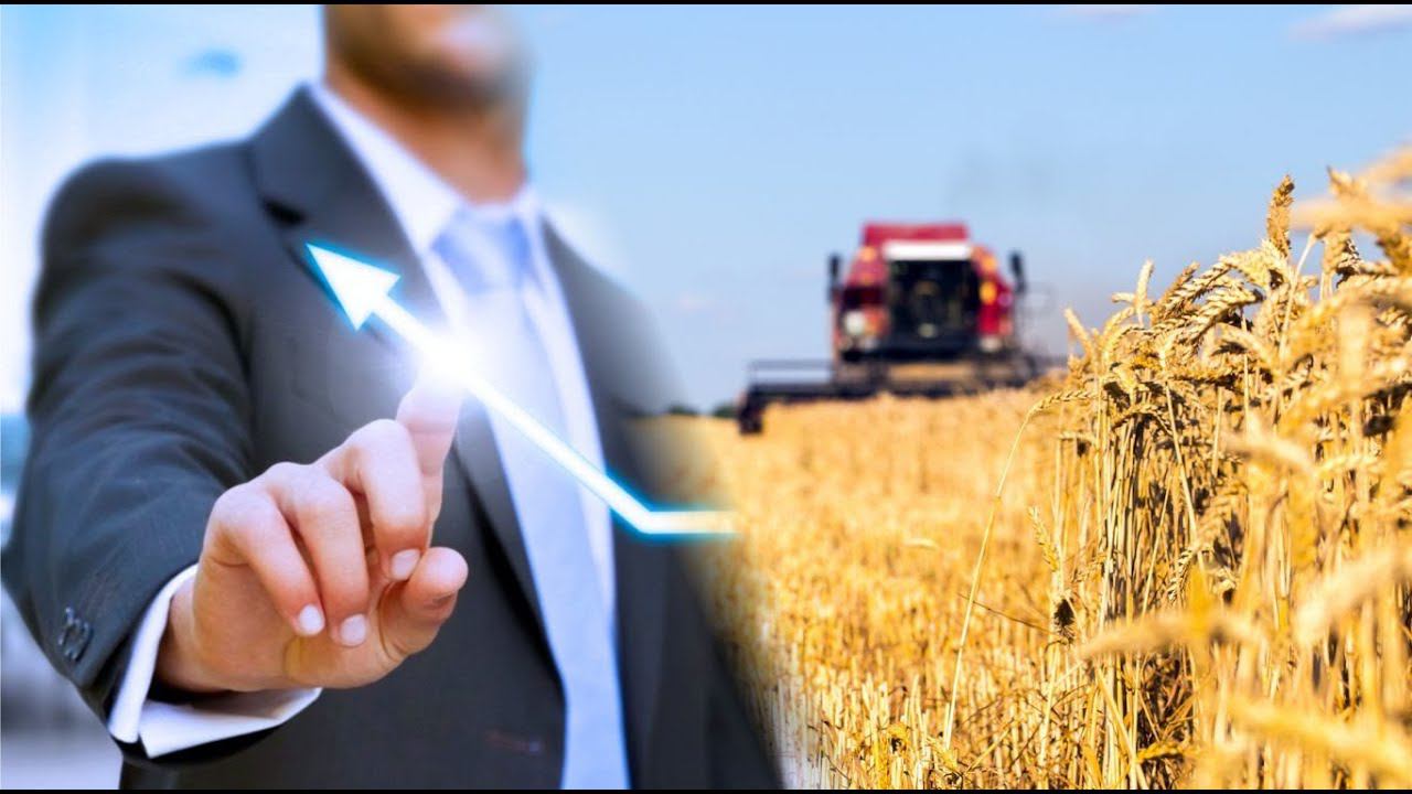 С опорой на землю