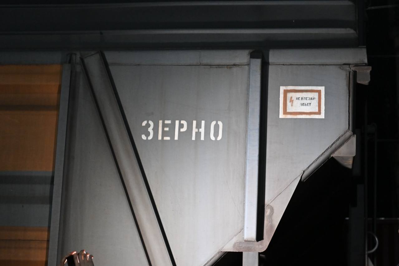 Пшеница раздора