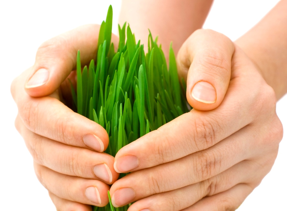 Фермерство под защитой