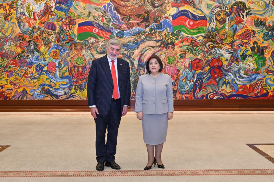 Председатель Милли Меджлиса обсудила межпарламентские связи с торговым посланником Великобритании