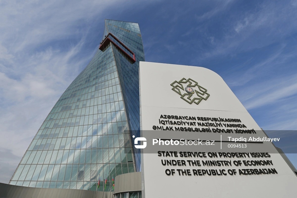 Госактивы в деле