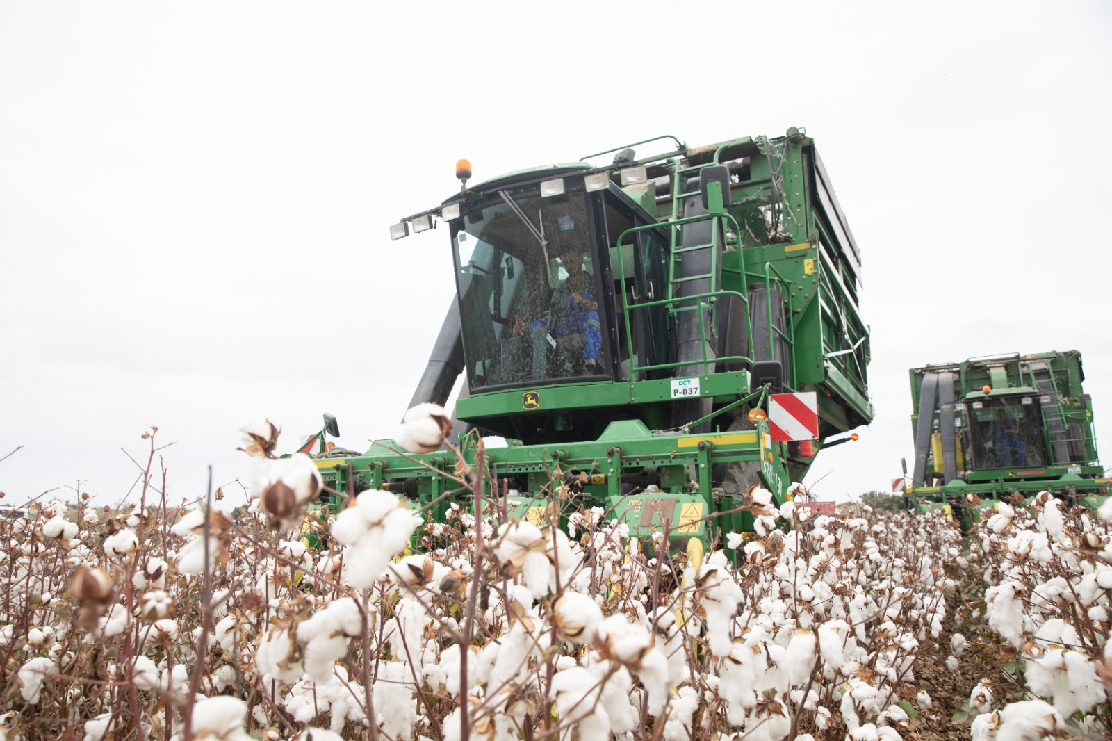 &laquo;Белое золото&raquo; родины