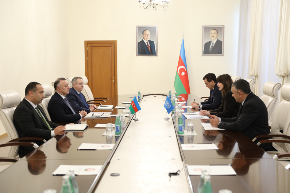 Обсуждены перспективы сотрудничества между Азербайджаном и ООН в сфере здравоохранения