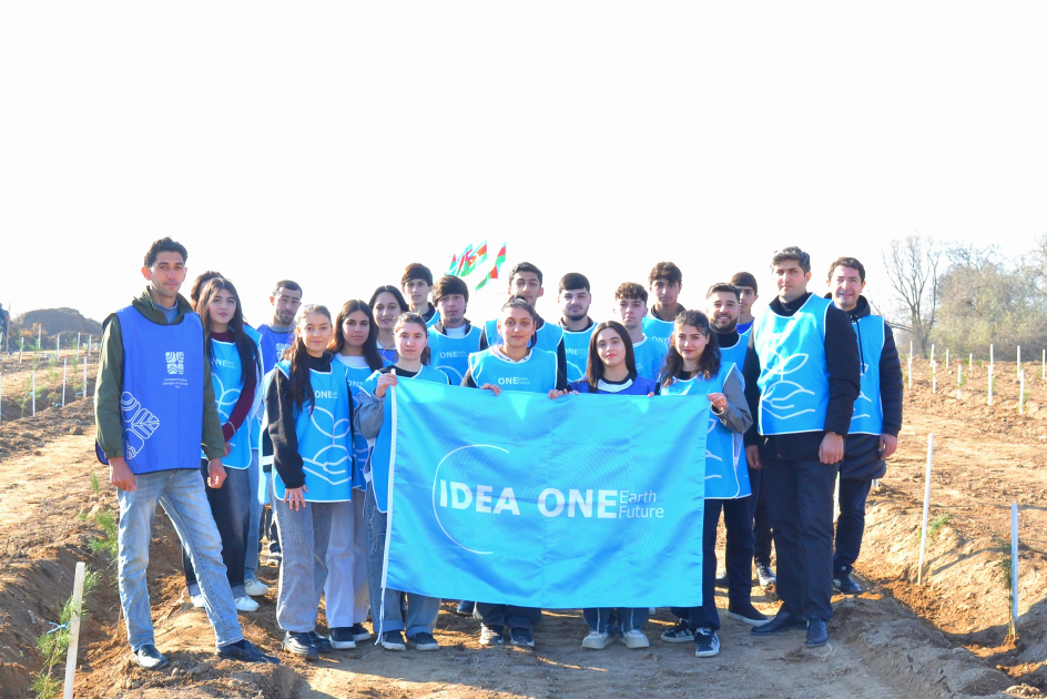 IDEA организовала массовые акции по посадке деревьев в Барде и Бейлягане