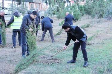 Следуя традициям
