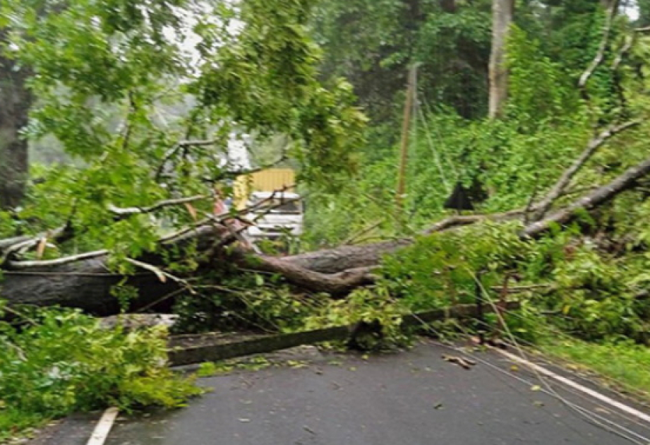 Последствия ветра в столице оперативно ликвидируются