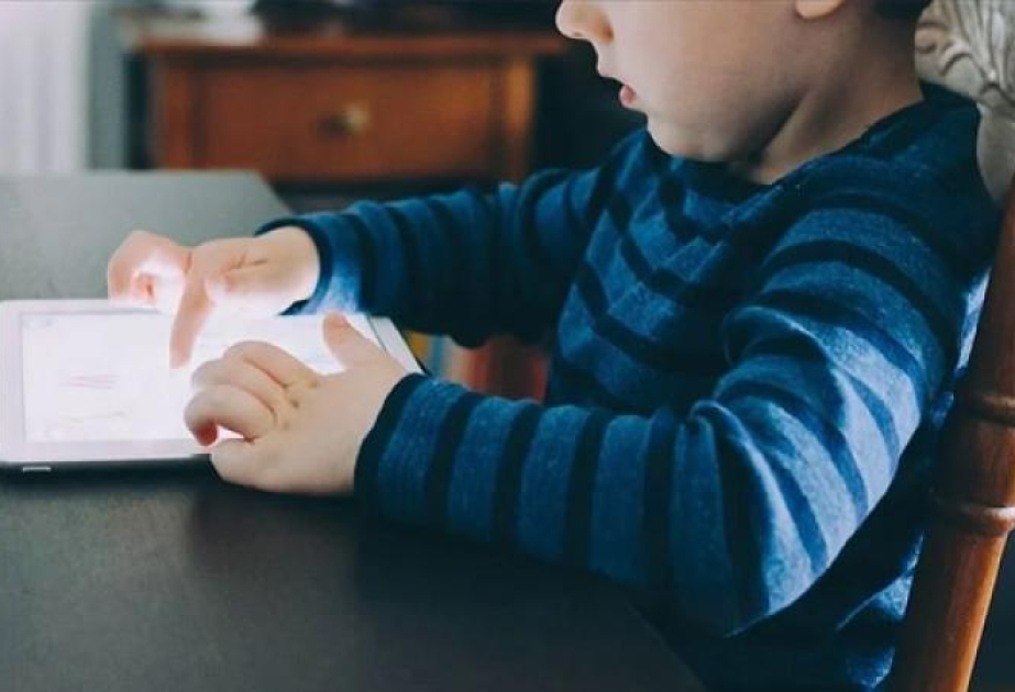 В Турции вводят запрет на доступ детей и подростков к соцсетям