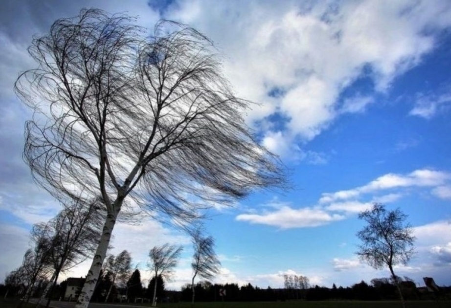 МЧС обратилось к гражданам из-за прогнозируемого усиления ветра