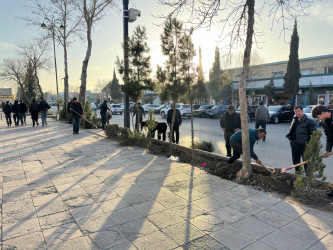 &laquo;Зеленая&raquo; акция