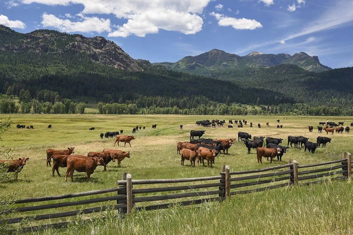 Есть ли выход из ситуации