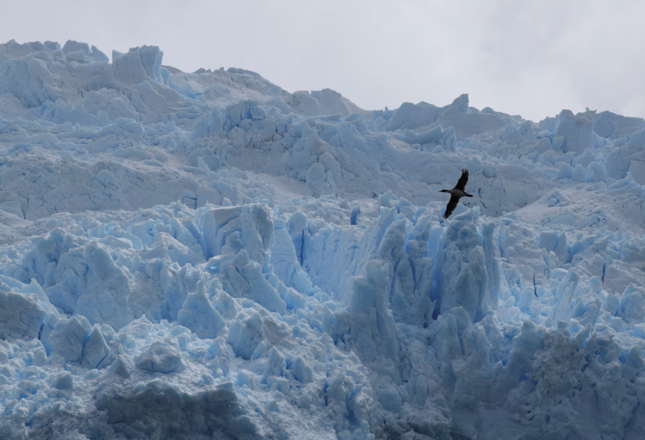 На краю света рождается новый национальный парк