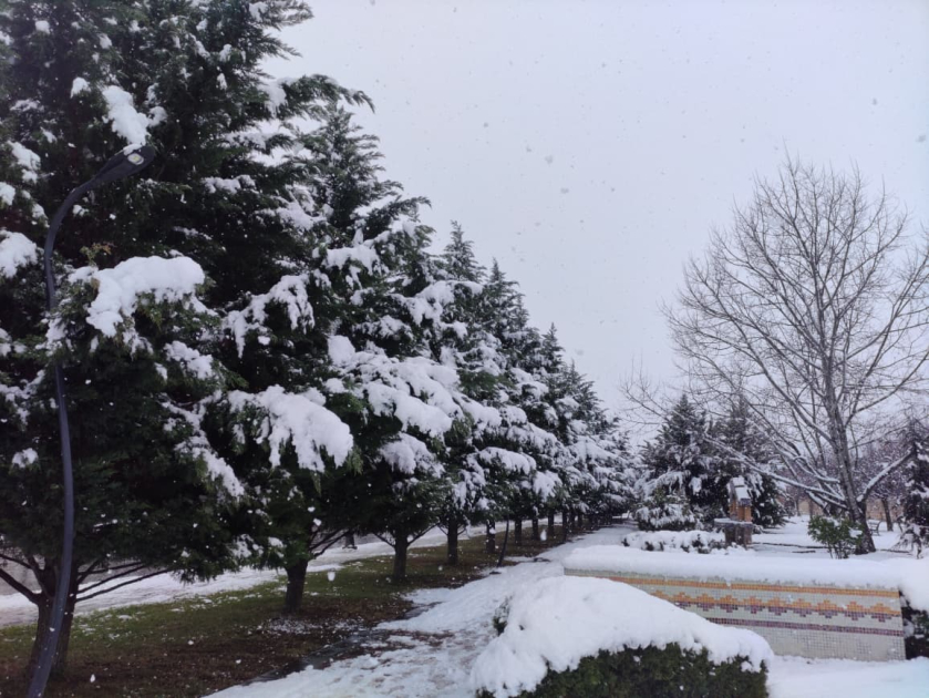 Северный регион: Высота снежного покрова 16 см, температура воздуха &ndash; минус 11 градусов