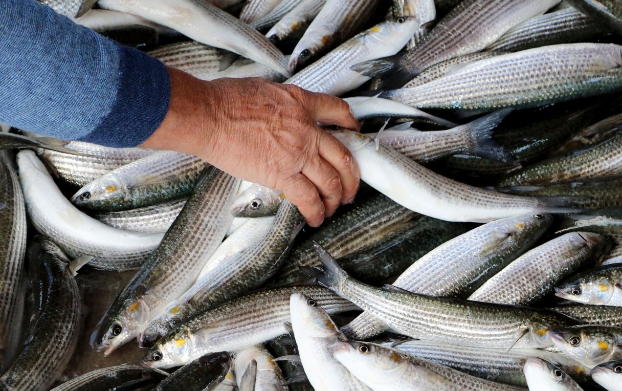 Спрос растет, а запасы тают