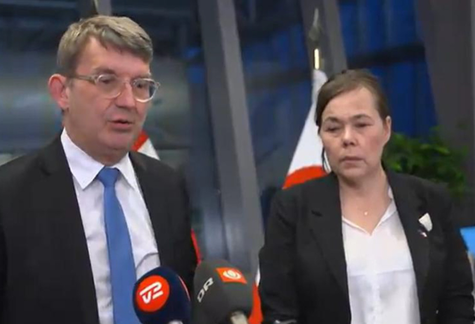 Дания выступила с инициативой миссии НАТО в Гренландии