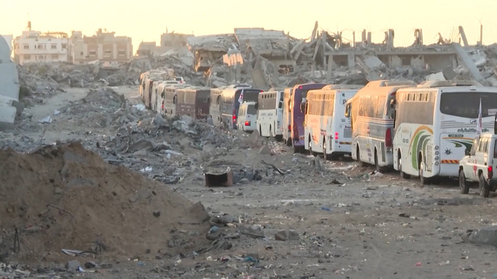 Axios: полномочия "Совета мира" выйдут за пределы сектора Газа