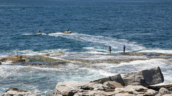 9News: 20 пляжей в Сиднее закрыты после нападения акул на отдыхающих
