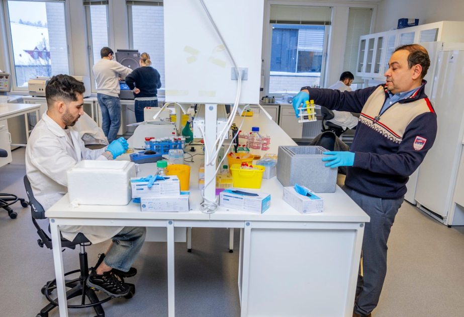 Норвежские исследователи создали технологию быстрой диагностики инфекций