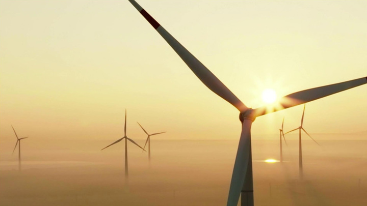 Трамп: ветряные электростанции стали причиной энергетического коллапса в Европе