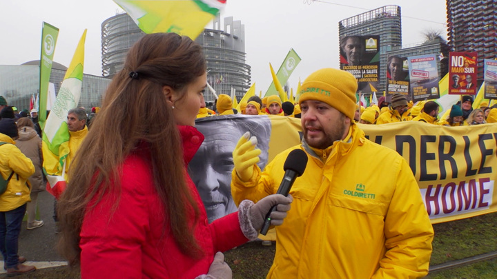 Итальянский фермер: европейские аграрии чувствуют себя брошенными