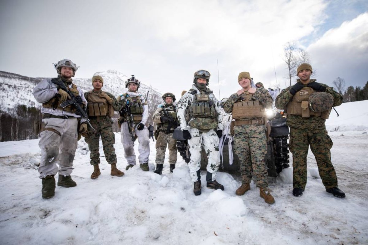 Арктический провал 