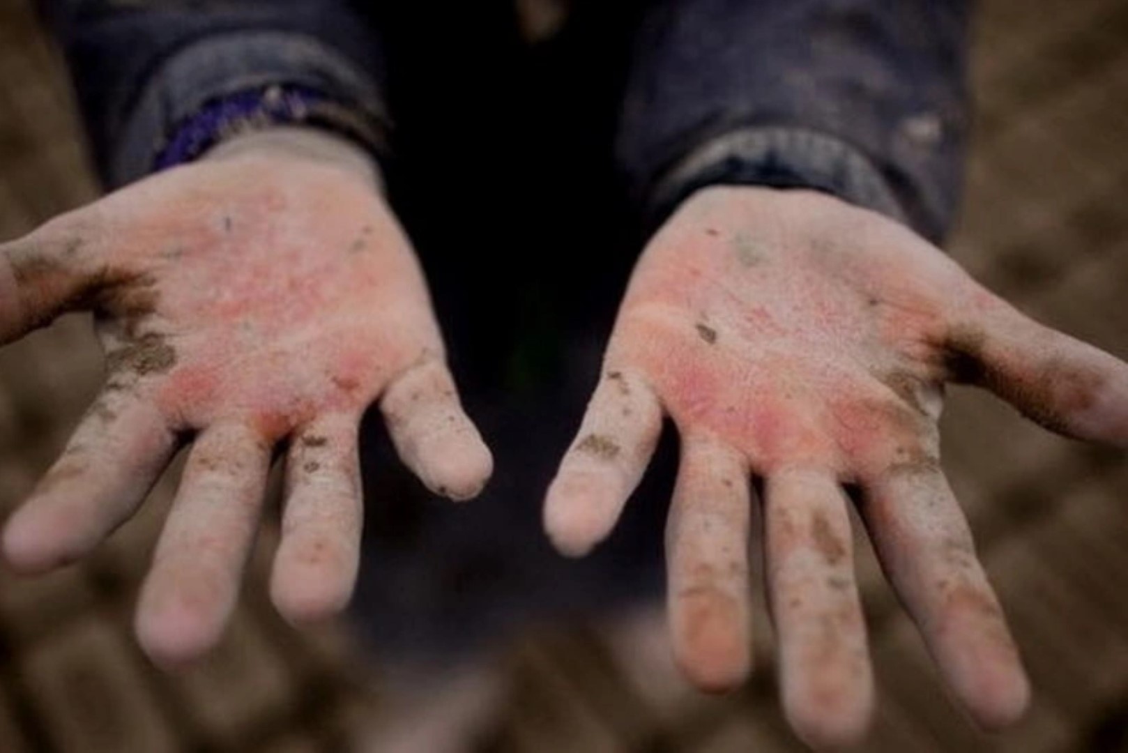 В Азербайджане ужесточат ответственность за детский труд