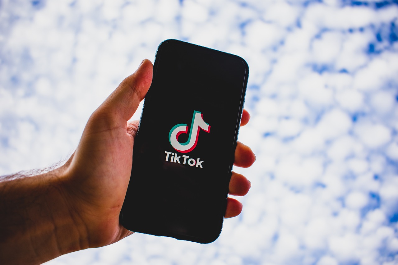 Пользователь TikTok арестован за оскорбления чиновников