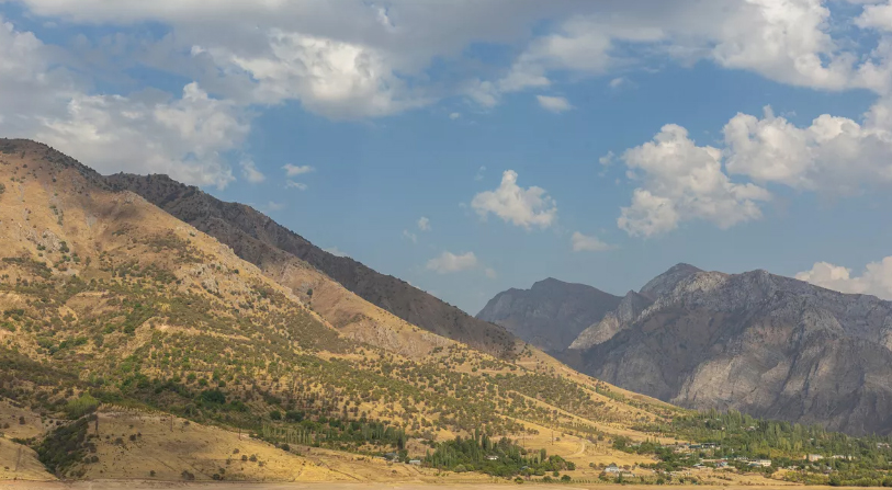 В Узбекистане начнут выплачивать компенсации за изъятые участки под Sea Breeze