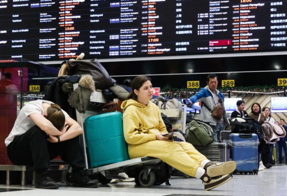 Сбой в системе бронирования Leonardo затруднил работу российских авиакомпаний