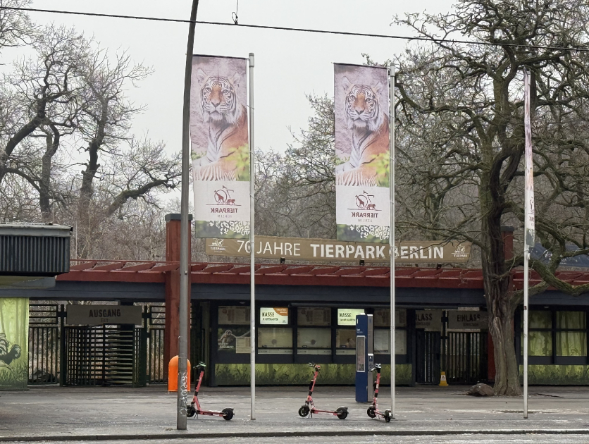 Из Германии в Азербайджан отправлены 18 зубров