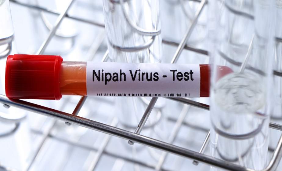 Нипах атакует планету