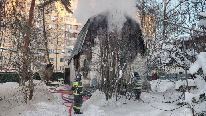 В Подмосковье кот спас многодетную семью во время пожара